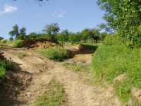 Po získání stavebního povolení se mohlo na pozemku začít stavět